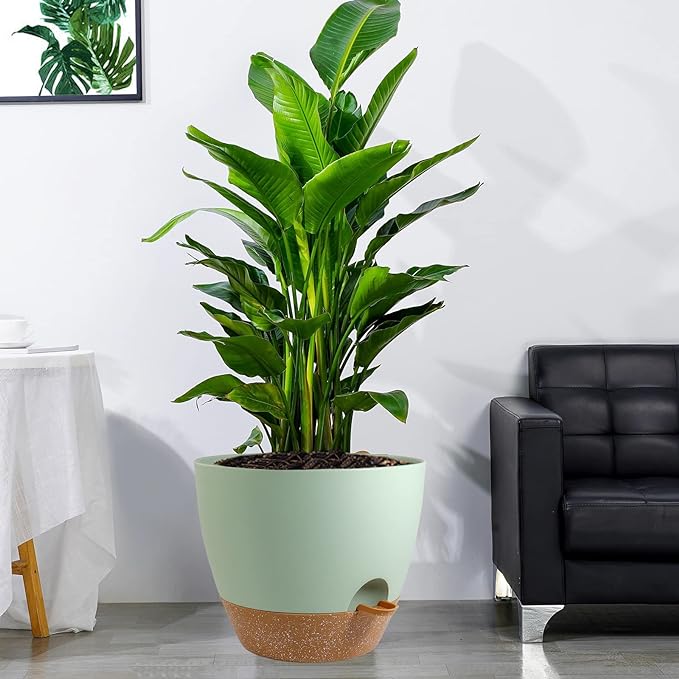 12 inch Large Self Watering Pots, Plastic Planters with 60oZ Removable Deep Reservoir and Multi Mesh Drainage Holes for Indoor Outdoor Garden Plants and Flowers, Green with Brown