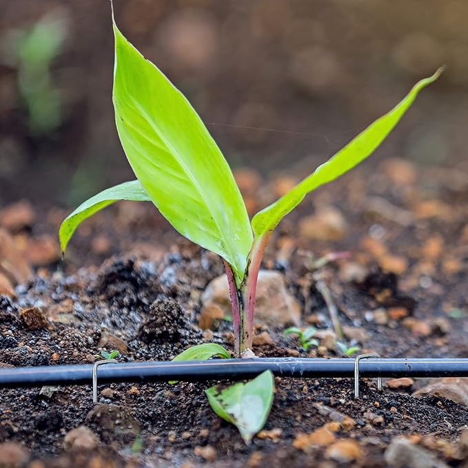 HongWay 300 Pack Landscape Staples 6 Inch, Galvanized Garden Staples Pins Ground Stakes Fence Tent Sod Staples Yard Lawn Truf Staples for Landscaping Fabric Irrigation Tubing