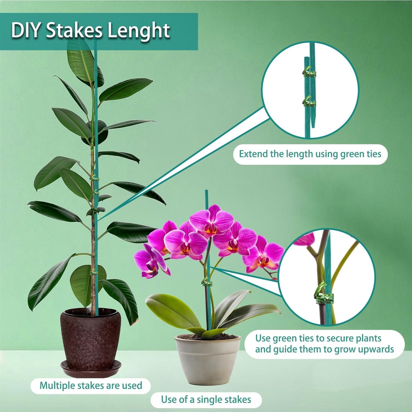 Bamboo Plant Stakes 50PCS, 18Inch Natural Bamboo Stakes Garden Stakes, HAINANSTRY Plant Sticks Support for Indoor and Outdoor Plants, Stakes for Gardening, Orchid Tomato Vegetable Stakes for Garden