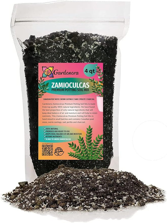 Zamioculcas Potting Mix - Promote Strong Roots and Captivating Foliage with Our Premium Blend - 4 QUART
