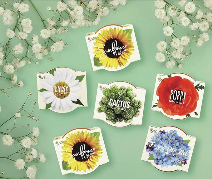 Buzzy Seeds Terracotta Mini Grow Pots | Herb, Plant, Flower Starter Kit for Kids & Adults | Assorted 6-Pack, Daydream Collection | Guaranteed to Grow | Best Indoor-Outdoor Gardening Gift