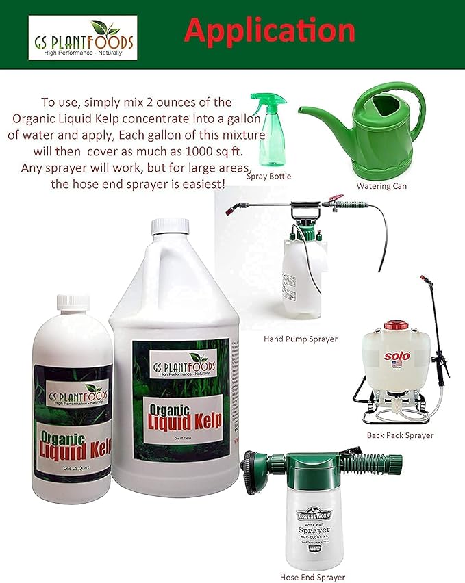 GS Plant Foods Seaweed Fertilizer - Omri Organic Liquid Kelp Fertilizer (55 Gallon) - Liquid Kelp Seaweed Concentrate for Farms, Gardens, Greenhouses, Lawns & Soil