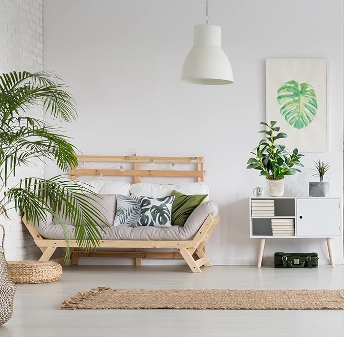 AlphaAcc 16 inch Artificial Indoor Plants Office Desk Faux Plant Peperomia Leaf Ficus Plant Realistic Small Fake Farmhouse Plants for Home Kitchen Bathroom Bedroom Evergreen Decor