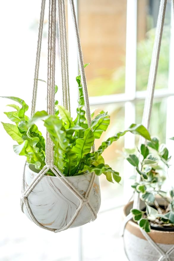 Dahey Macrame Plant Hanger Set of 3 with Hooks Indoor Hanging Planter Basket 35"/29"/23" Handmade Woven Cotton Rope Flower Pot Crochet Plant Holder Stand for Boho Home Decor No Tassels,Beige