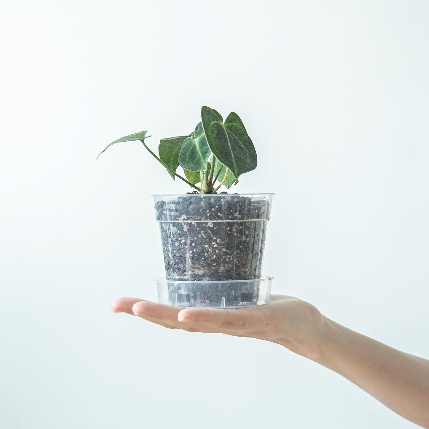 4 Inch Clear Plastic Plant Pot with Drainage Holes, Interlocking & Detachable Tray - Deep Saucer - Durable BPA-Free Plastic, Transparent Design, Raised Base for Airflow, Set of 12, 92-X-B-2