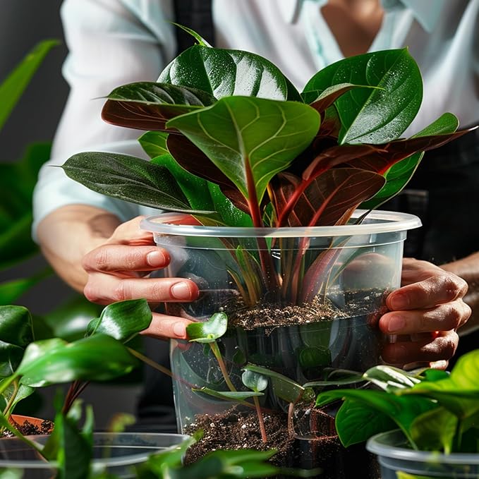 36 Pack 7/6/5/3.5 Inch Clear Nursery Pots Variety Pack, Clear Plastic Nursery Pot for Plants, Durable Seed Starting Pot with Drainage Holes, Flexible Transparent Pot