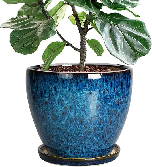 10 Inch Ceramic Planter Pot Round Plant Pot for Indoor Plants Outdoor Large Flower Pot with Drainage Hole and Saucer Blue