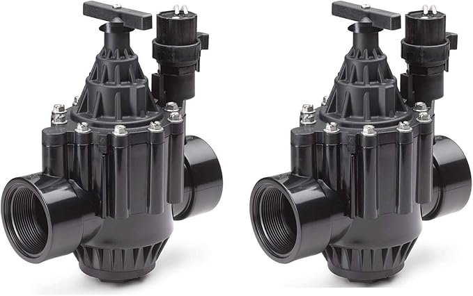 Rain Bird 100PGA 1" Inlet Inline Plastic Commercial Irrigation Valve (2 Pack)