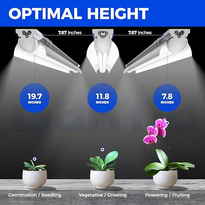 Barrina T8 Grow Lights for Indoor Plants, 5000K White Full Spectrum Grow Light Strip, 60W(4 x 15W), 1FT Plant Light for Greenhouse Indoor Growing, V-Shape with Reflector, Linkable, 4 Packs