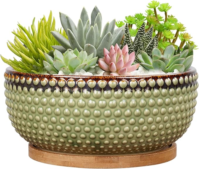 8 Inch Ceramic Succulent Shallow Planter Pot with Drainage Hole and Saucer Beaded Stoneware Planter for Indoor Plants Green