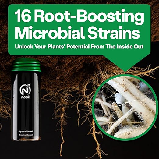 Noot Bio-Organic Plant Food Liquid Fertilizer - Makes 3.5 Gallons - Root Boosting Mycorrhizae - Fast Growth for Monstera, Aroid, Succulent, Orchid, Calathea, Philodendron - Use Every Watering (1 Vial)