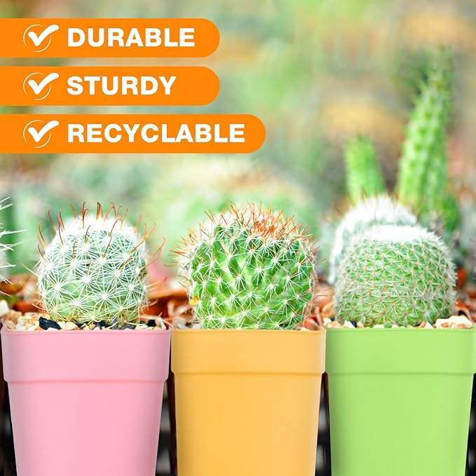 100 Pieces 4 Inch Flower Pots Square Plants Nursery Pot Plastic Plant Seedling Pots Nursery Transplanting Planter Container with Saucer for Indoor Herbs Succulents Balcony Garden Office (Colorful)