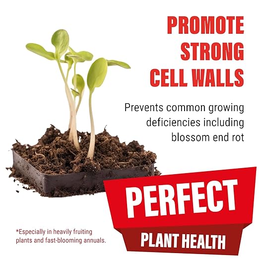 Cal Mag for Plants. Boost Your Plants Health. Earth Force 2-0-0 CalMag Fertilizer with add it Liquid Kelp and Seaweed Plant Nutrients Perfect for Soil, Coco Coir, and Hydroponic Garden Nutrients. 32OZ