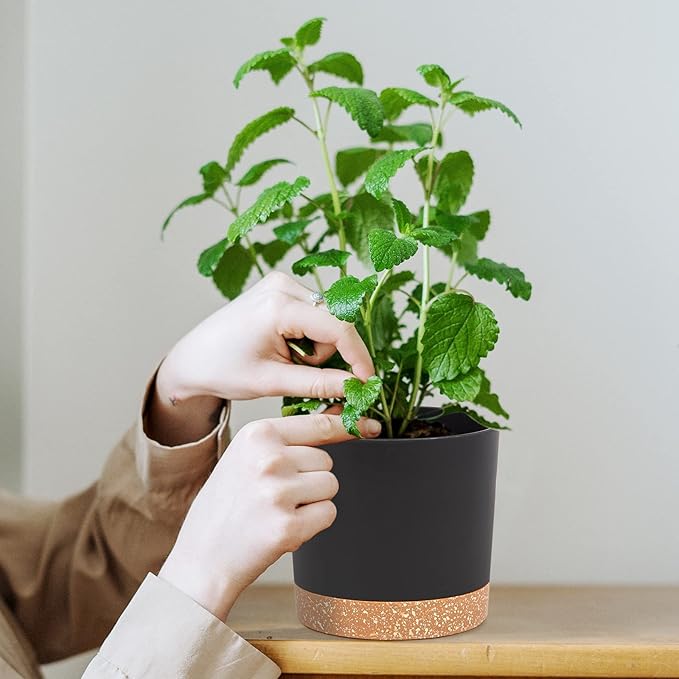 QCQHDU 5 inch Plant Pot, 2 Pack Planters for Indoor Plants with Drainage Holes & Saucer, Outdoor Flower Pots Home Garden Modern Decor