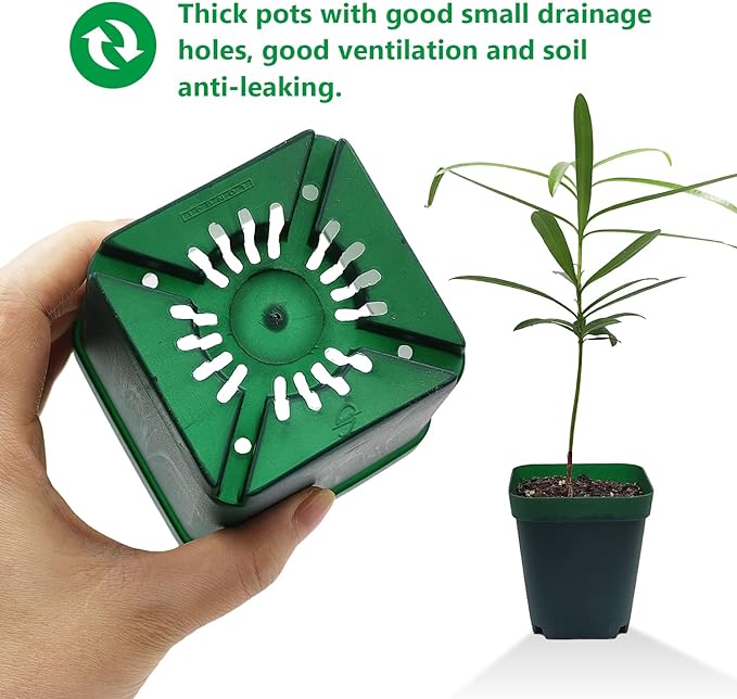 Square Nursery Seedling Pot 3.5 Inches 90 Pcs, Small Nursery Pot Plastic Thick and Sturdy Seed Start Germination Pot for Plant Propagation and Seeding(Green,3.54 Inches, 90Pcs)