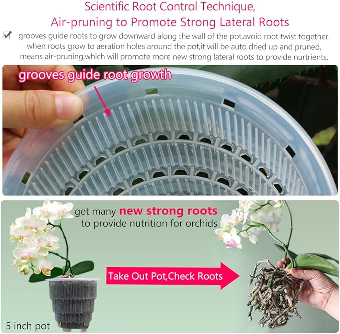 5 inch Orchid Pots with Holes,Set of 3,Double Layer Plastic Imitate Ceramic Orchid Planter Provide Good Air Circulation,Clear Orchid Pot Match Decorative Orchid Container