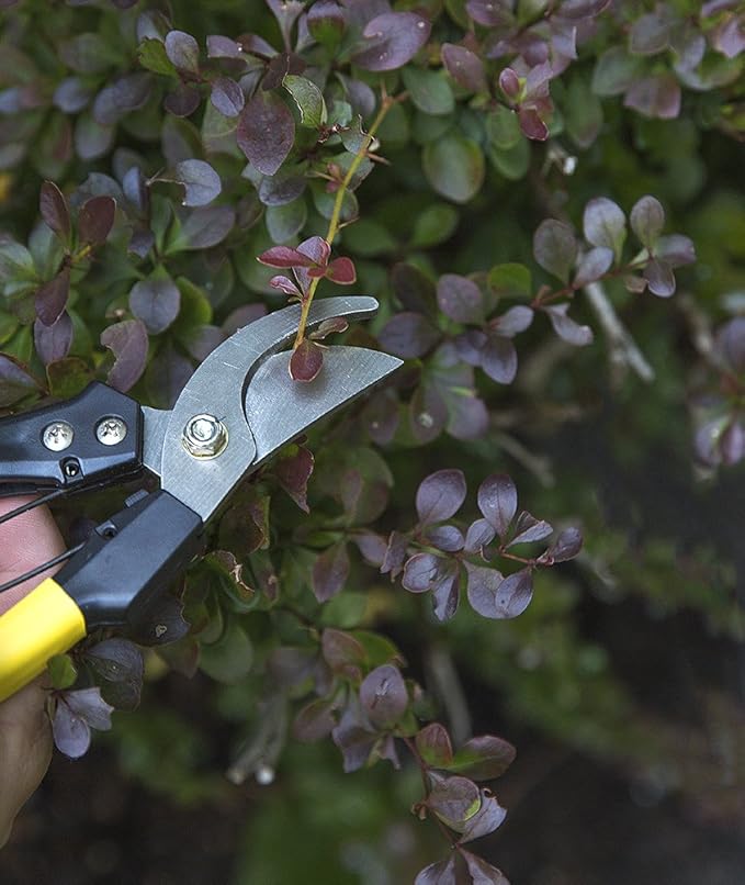 H.B. Smith Tools 3-Piece Pruner Set for Lawn and Garden