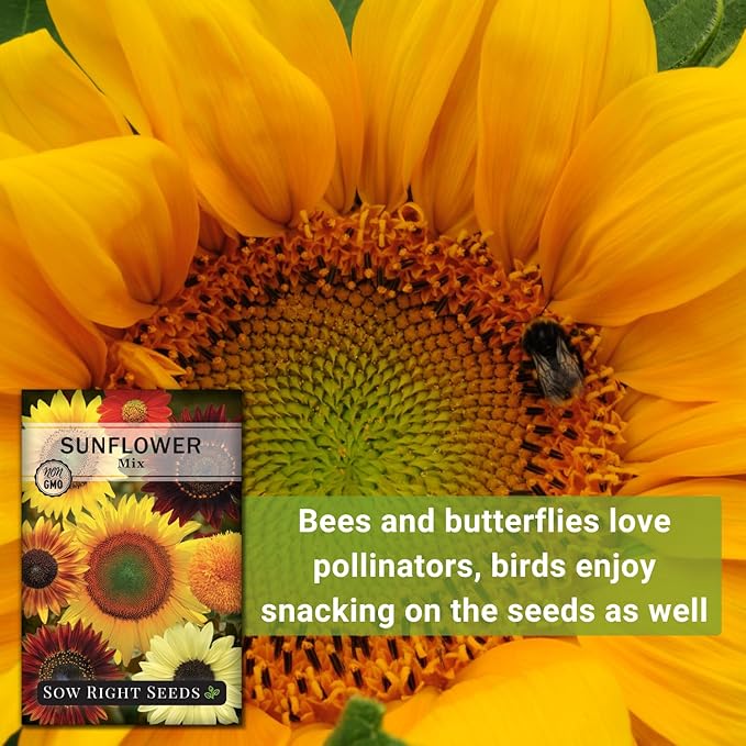 Sow Right Seeds - Mixed Sunflower Seeds for Planting - Non-GMO Heirloom Packet with Instructions - Great Wedding or Party Favor - Grow Giant Sunflowers in an Assortment of Bright, Unique Colors (3)