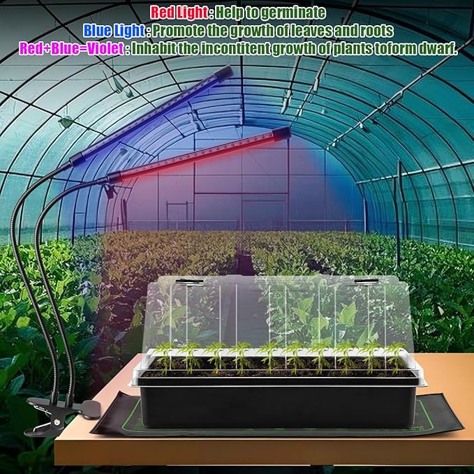 4 Sets Seed Starter Trays with Grow Light, 4pcs Seed Starter Tray with 4 Adjustable LED Plant Lights, Seed Starting Trays with 5'' Humidity Dome Lid, Flexible Light with 20 Lamp Beads/Bar for Seedling