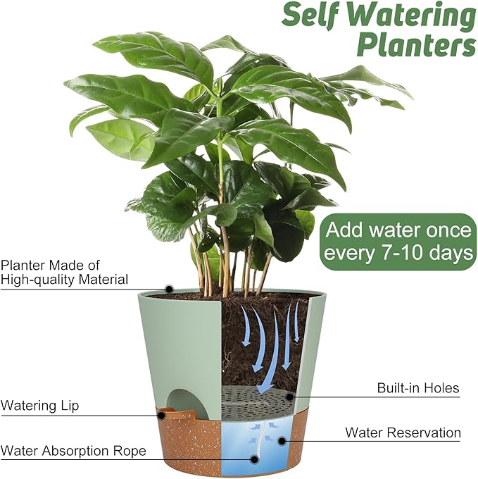 10-Inch Plant Pots, Self-Watering Planters with Drainage Holes & Saucers for Indoor and Outdoor Plants (2-Pack, Green)