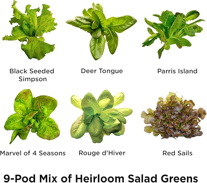 AeroGarden Heirloom Salad Greens Mix Seed Pod Kit - Salad Kit for AeroGarden Indoor Garden, 9-Pod