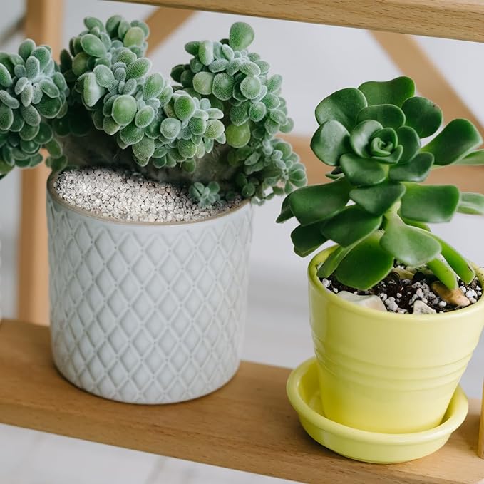 Horticultural Perlite for Plants 10qt, Chunky Perlite Bulk for Gardening, Soil Amendments to Improve Soil Aeration & Dranage for Houseplant