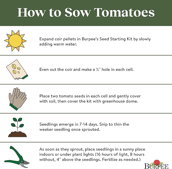 Burpee 'Roma' Organic, Red Sauce & Paste Tomato, 250 Non-GMO Seeds