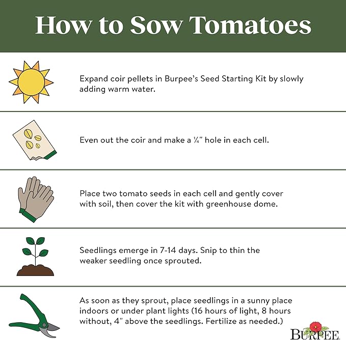 Burpee 'San Marzano' Heirloom, Paste Tomato, 75 Non-GMO Seeds