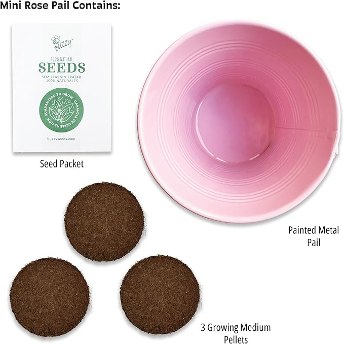 Buzzy Seeds Painted Love Pails | Flower Starter Kit for Kids & Adults | 2-Pack | Mini Rose and Forget-Me-Not Seeds | Guaranteed to Grow | Best Indoor Grow Your Own Plant Gardening Gift