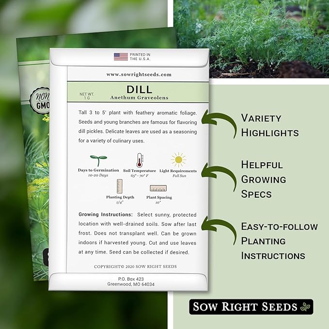 Sow Right Seeds - Dill Seed for Planting - Non-GMO Heirloom Packet with Instructions to Plant and Grow Herb Garden - Indoors or Outdoors - Homemade Dill Pickles - Wonderful Companion Plant (4)