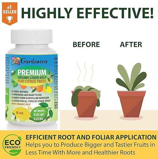 Premium Organic Kelp Concentrate for Citrus Trees - 8 oz - Amplify Citrus Fruit Size and Taste for a Satisfying Harvest