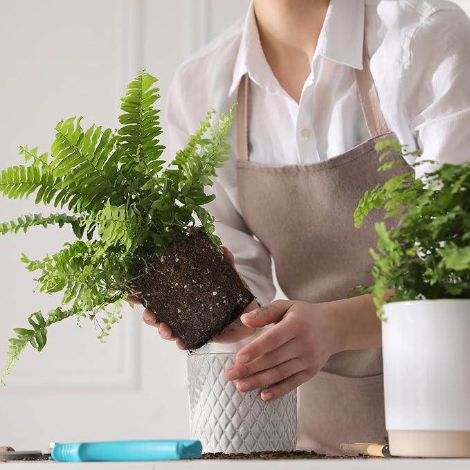 Potting Soil Mix for Fern 1qt, Custom Hand Blended Mixture Suitable for Indoor/Outdoor Potted Fern Plant