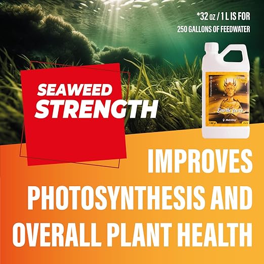Cal Mag for Plants. Boost Your Plants Health. Earth Force 2-0-0 CalMag Fertilizer with add it Liquid Kelp and Seaweed Plant Nutrients Perfect for Soil, Coco Coir, and Hydroponic Garden Nutrients. 32OZ
