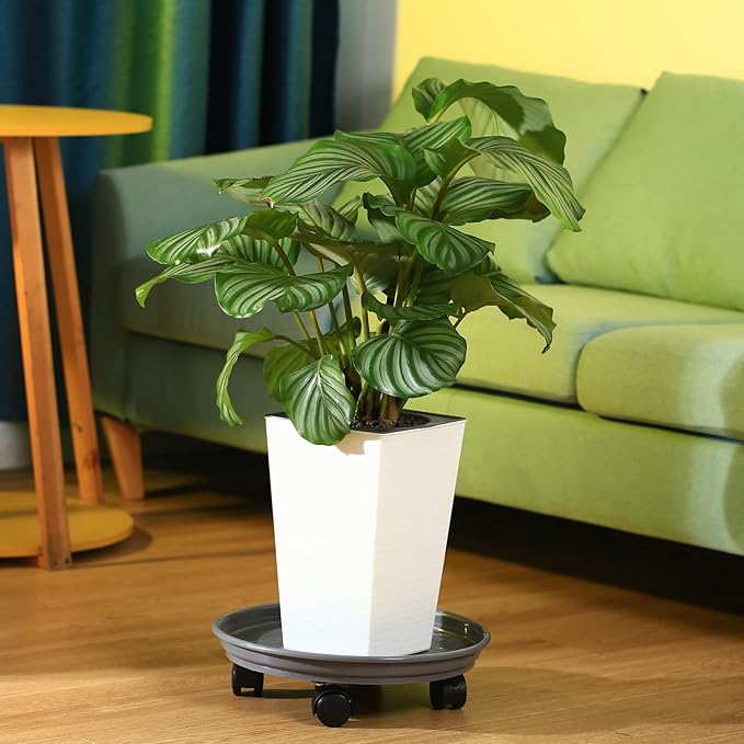 6 Packs Plant Caddy with Wheels 12" Plastic Rolling Plant Stands Heavy-duty Plant Dolly with Casters Indoor and Outdoor Plant Roller Base Large Heavy Plant Pot Saucers with Wheels Plant Mover, Grey