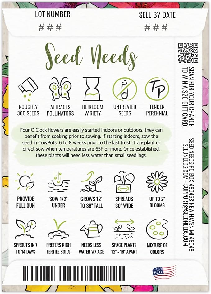 Seed Needs, 300+ Four O' Clock Flower Seeds for Planting - Color Blend (Mirabilis Jalapa) Heirloom & Open Pollinated, Attracts Pollinators - Bulk