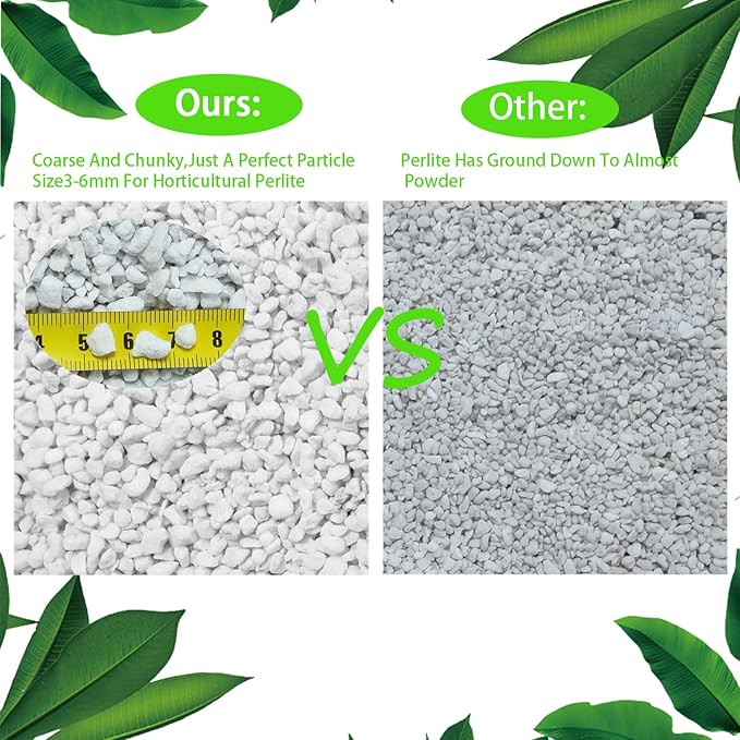Natural Organic Perlite 10QT for Plants Potting Mix Indoor Outdoor Garden Soil Amendment for Enhanced Drainage, Seed Starter, Root Growth for Succulents, Cactus, Orchids, Money Trees, Vegetables