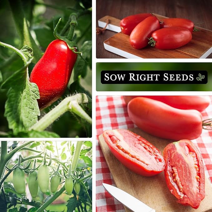Sow Right Seeds - San Marzano Tomato Seeds for Planting - Non-GMO Heirloom Packet with Instructions to Plant a Home Vegetable Garden - Italian Classic Red Variety - Great for Sauce and Canning (2)