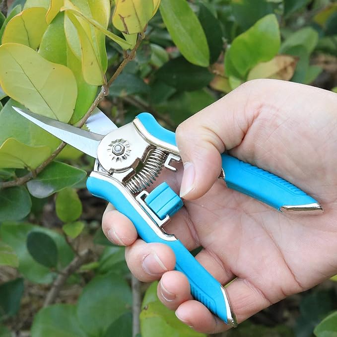FLORA GUARD 6.5 Inch Micro-Tip Pruning snip Gardening Hand Pruning Shears Trimming Scissors with Stainless Steel（Blue）