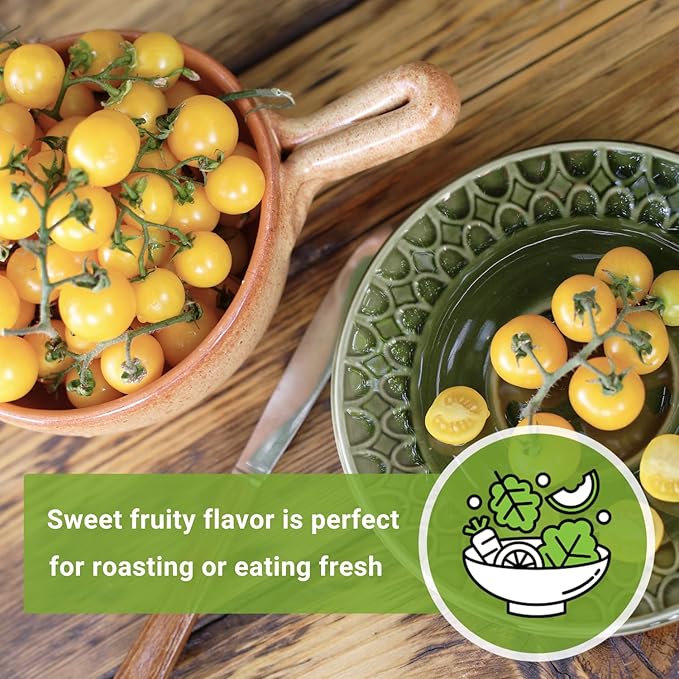 Sow Right Seeds - White Cherry Tomato Seed for Planting - Non-GMO Heirloom Packet with Instructions to Plant a Home Vegetable Garden - Pale Yellow Snacking Variety - Indeterminate Variety