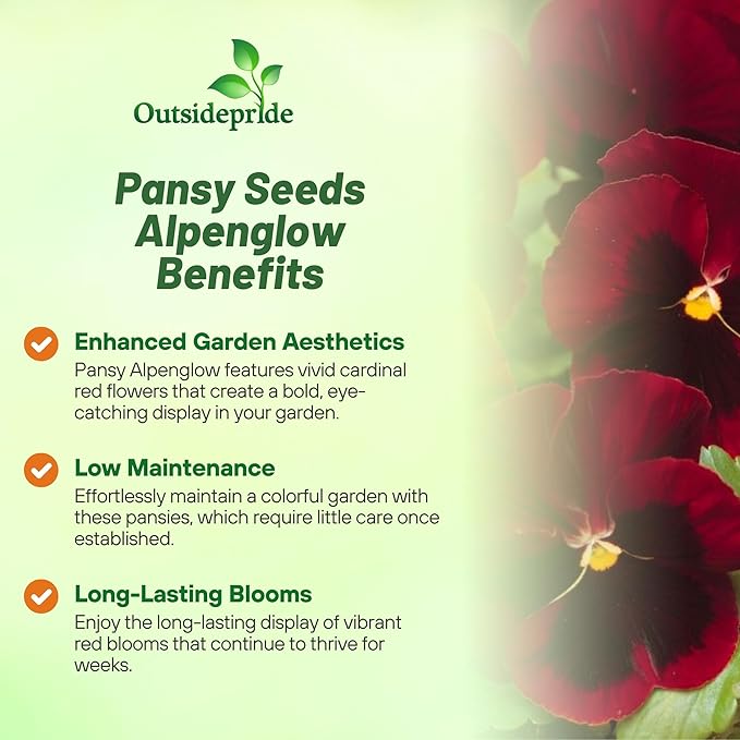 Outsidepride 1000 Seeds Viola Pansy Red Alpenglow Flower Seeds for Planting