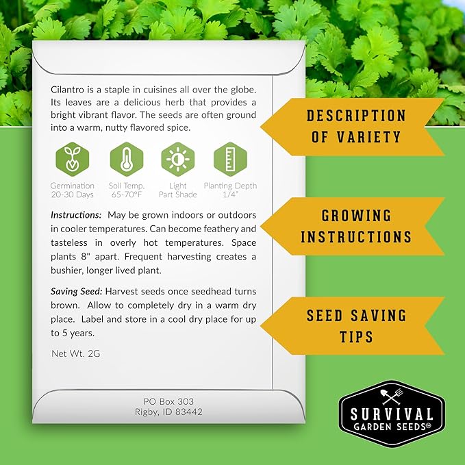 Survival Garden Seeds - Cilantro Seed for Planting - Packet with Instructions to Plant & Grow Coriandrum Sativum in Your Home Vegetable Garden - Non-GMO Heirloom Variety Herb Seed - 3 Packs
