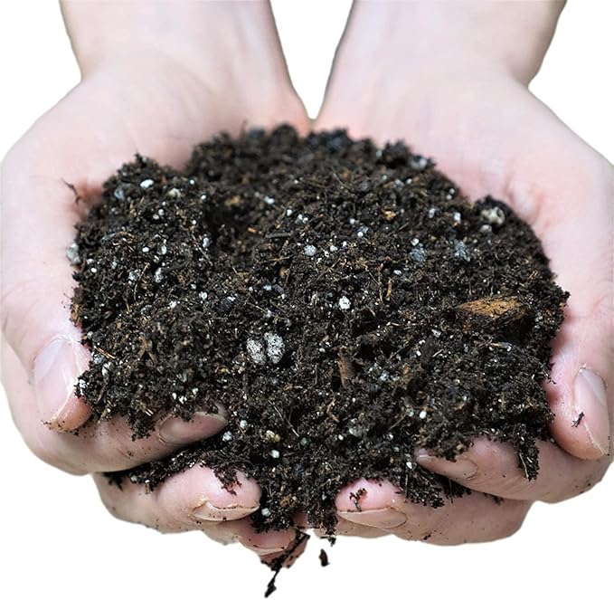 Liqui-Dirt Natural Potting Soil Bio-Organic Mix for Indoor & Outdoor Plants - Ideal for Monstera, Succulents, Orchids, Cactus, and More