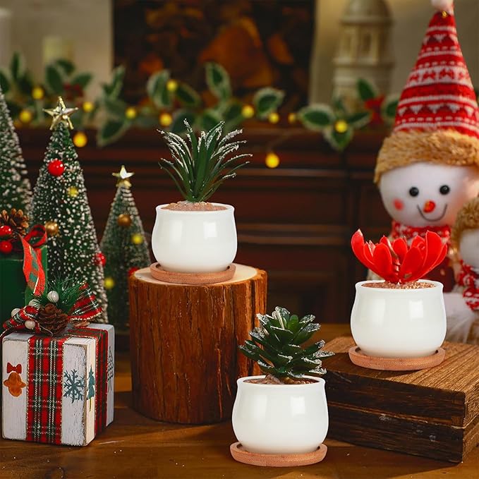 Succulent Pots, White Mini 2.5 inch Ceramic Flower Planter Pot with Bamboo Tray, Pack of 12 - Plants Not Included