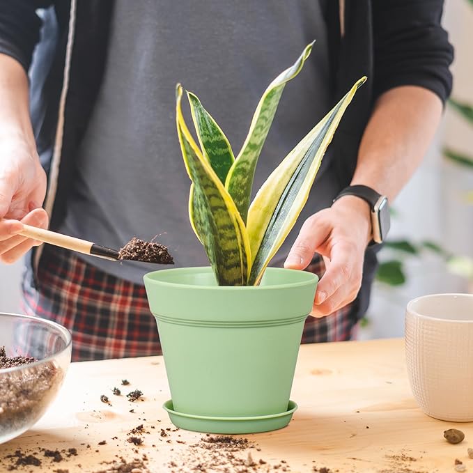 4 inch Small Plastic Nursery Pots, Seedling Pots, 16 Pack Plant Pots for Indoor Outdoor Plants, Flower Pots with Drainage Holes and Saucers, Decorative Planters for House Plants, Green