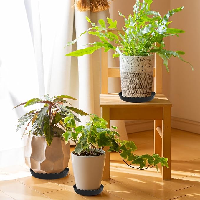 6 Packs Wave Plant Saucer - Plastic Flower Pot Drip Trays/Durable Heavy Duty Black Plant Tray for Indoor and Out Door Plant(6/8/10 inch)