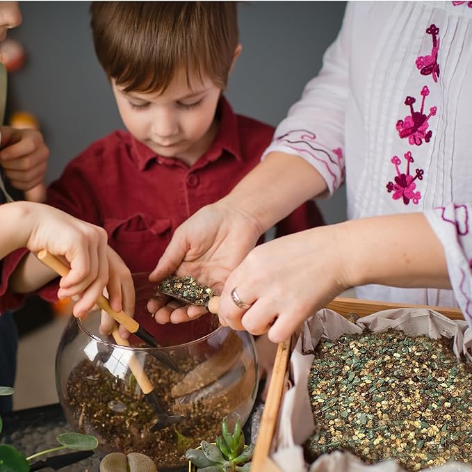 Terrarium Potting Soil Mix 1qt, Custom Made for Terrariums, Perfect for Vibrant Miniature Gardens