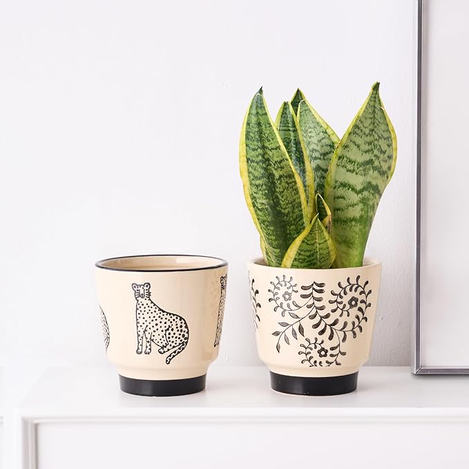Indoor Ceramic Plant Pots with Drainage Holes 5 Inch Cute Succulent Flower Pots Small Orchid Planter Pots for Indoor Plants Garden Pots, Panther