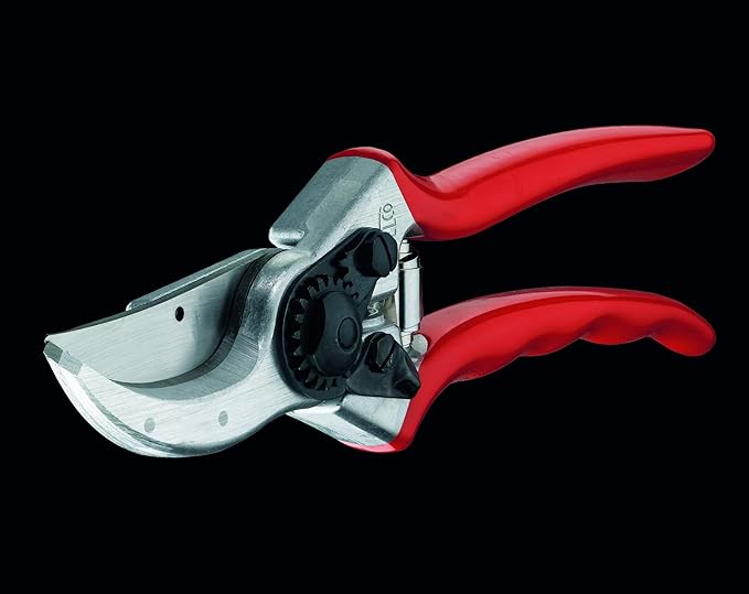 FELCO F-2 Classic Hand Pruner + Felco F 910+ Holster