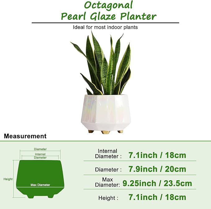 8 Inch Ceramic Planter for Indoor Plants - Plant Pots with Drainage Holes - Modern Minimalist Flower Pot for Succulents and Herbs