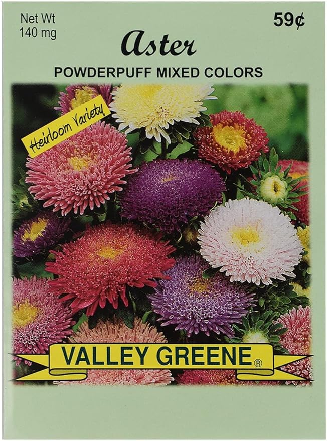 Set of Flower Seed Packets! Flower Seeds in Bulk - Great for Creating The Garden of Your Dreams! (100, Aster - Powderpuff Mix)